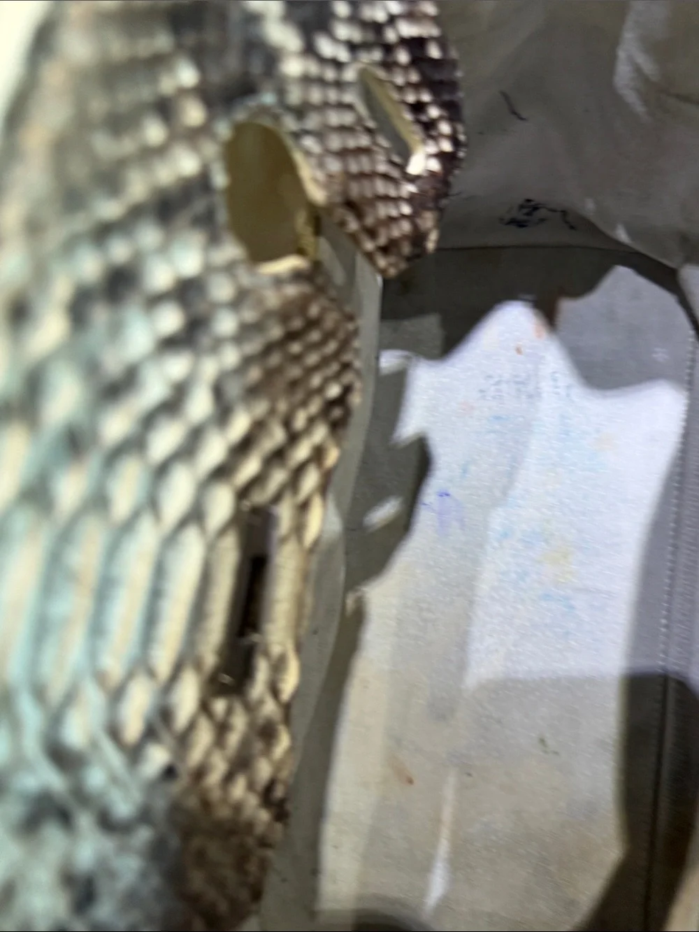 Structured Genuine Python Skin  Satchel in Gray and Cream